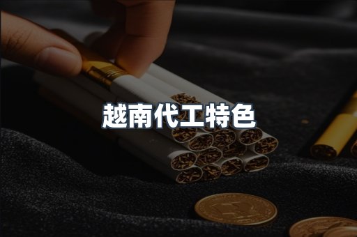 越南代工特色